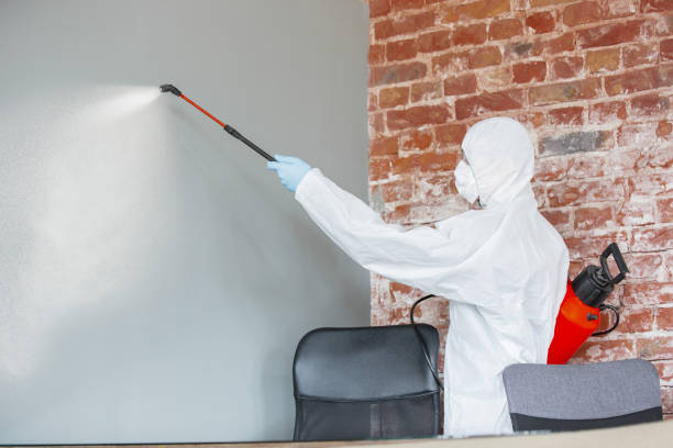 Best Forensic Mold Investigation  in Mccla, AL